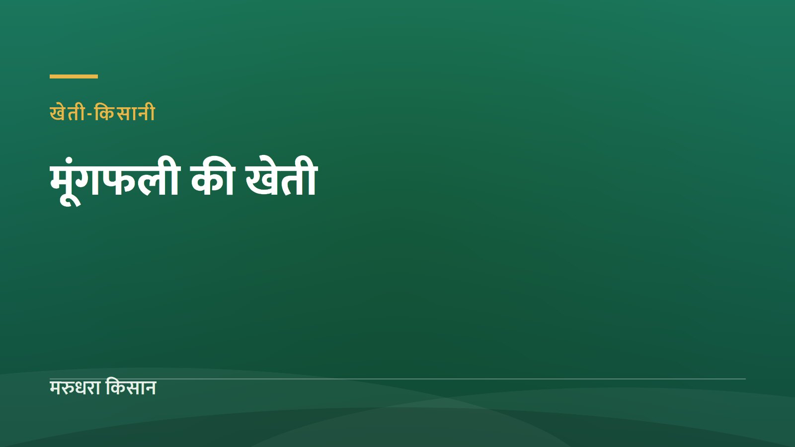 बीकानेर में मूंगफली की खेती: बुवाई से खुदाई तक पैदावार बढ़ाने के तरीक़े