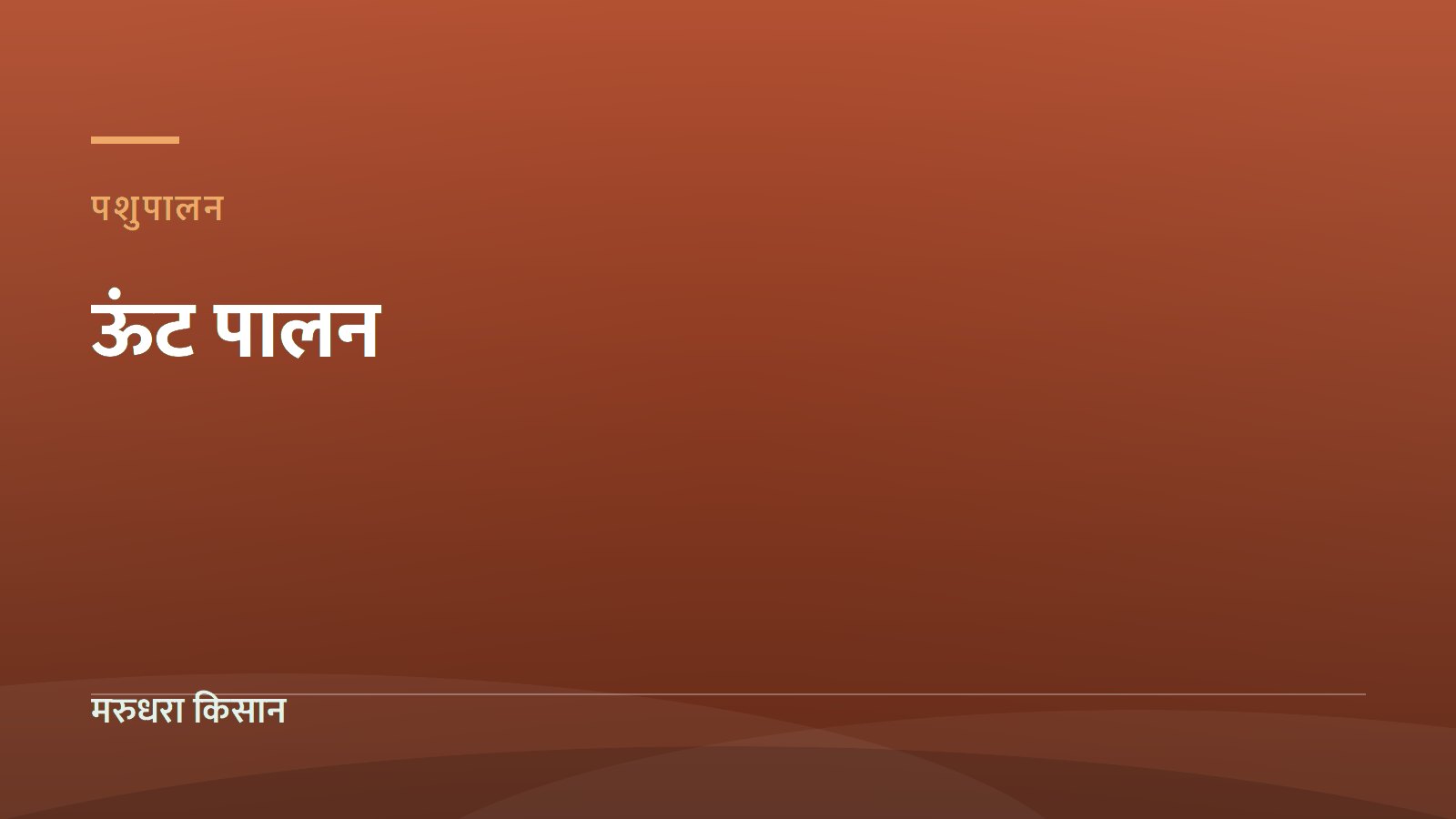 ऊंट पालन राजस्थान में: घटती संख्या, सरकारी मदद और ऊंटनी के दूध का कारोबार