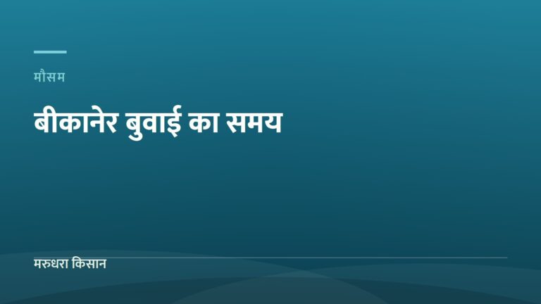 बीकानेर बुवाई का समय — मरुधरा किसान
