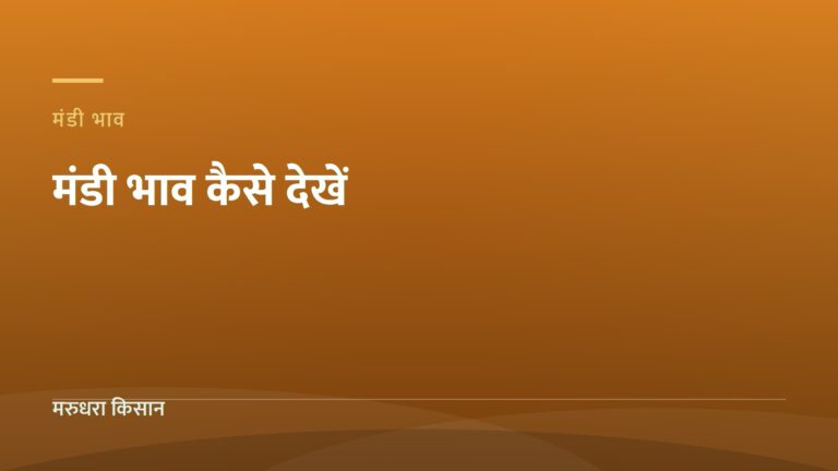 मंडी भाव कैसे देखें — मरुधरा किसान