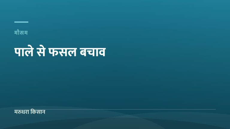 पाले से फसल बचाव — मरुधरा किसान